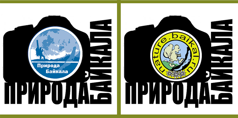 Байкал логотип. Байкальский заповедник эмблема. Эмблема экстремалы. Байкальская рыбалка логотип.