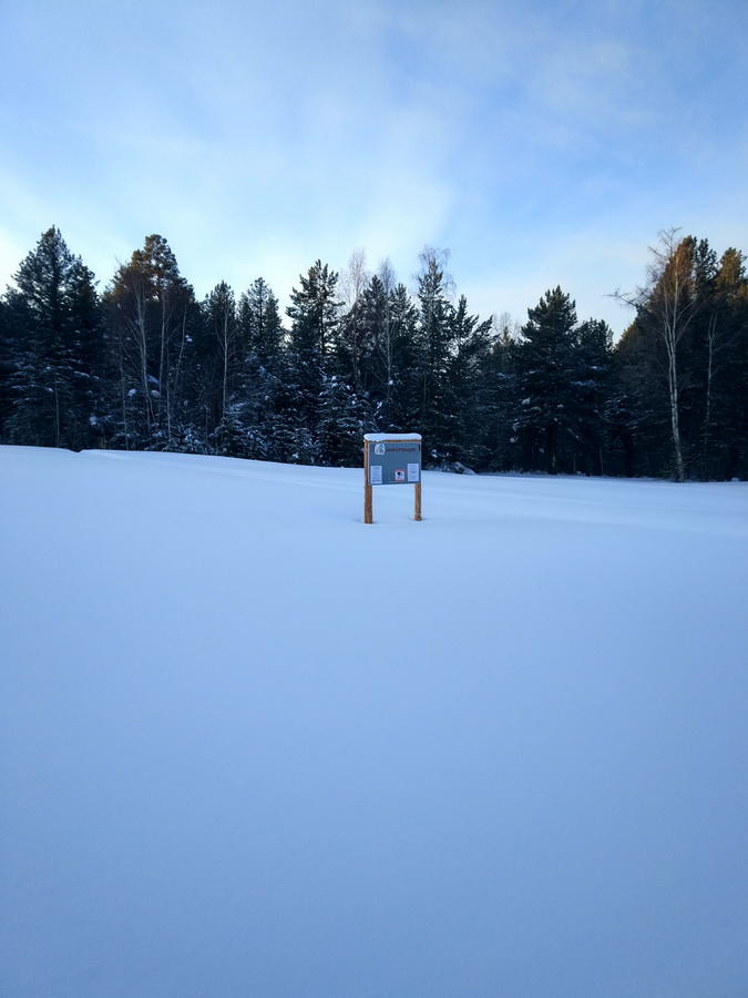    -55