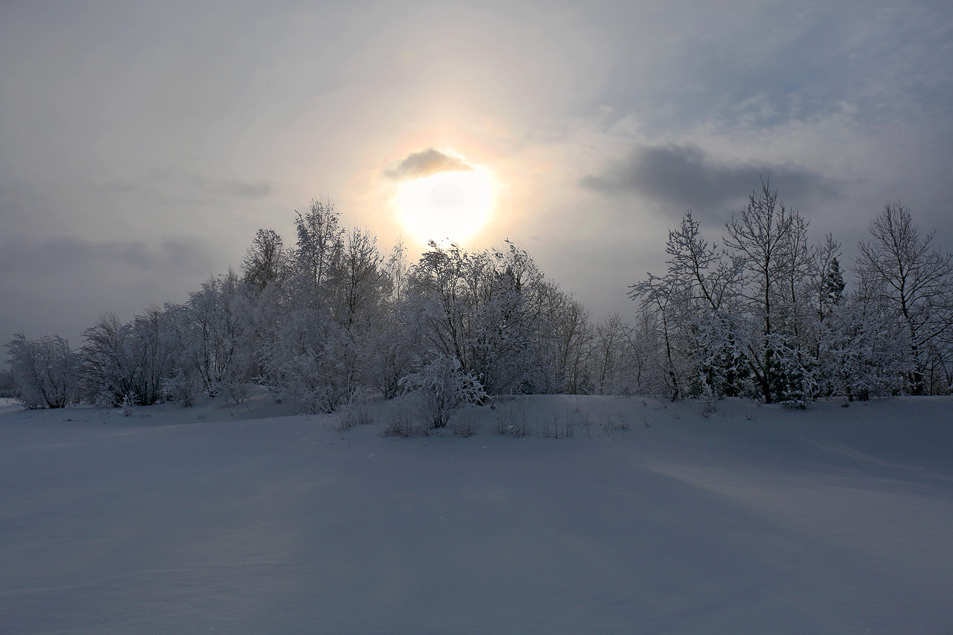 ������ � ������ ���������