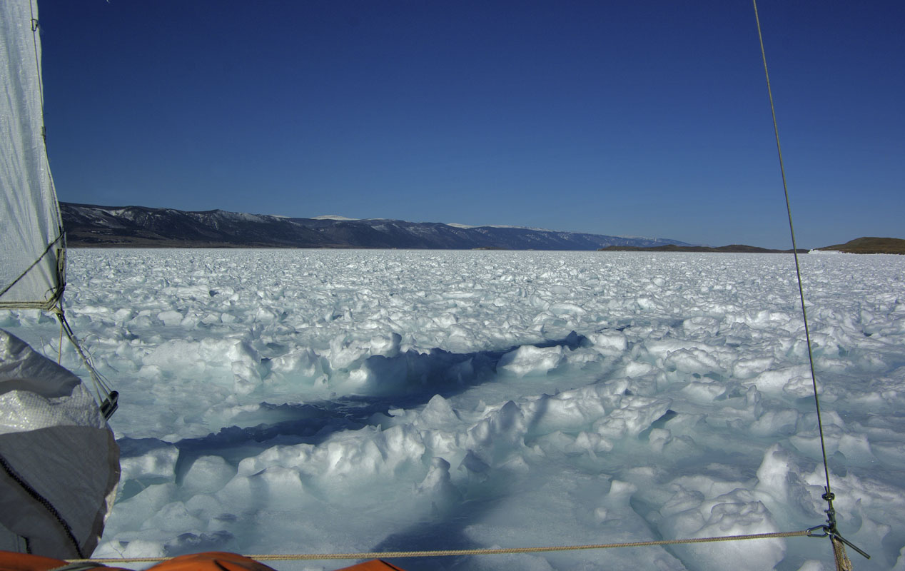 ����� ���������� ������� ����� "�������"