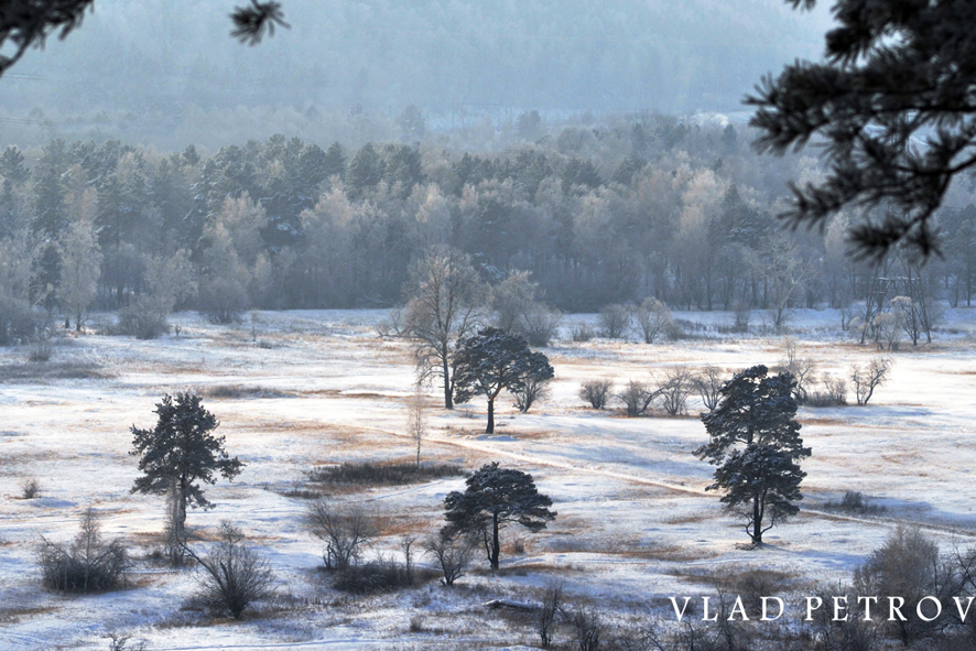 ������� ����� � ��������