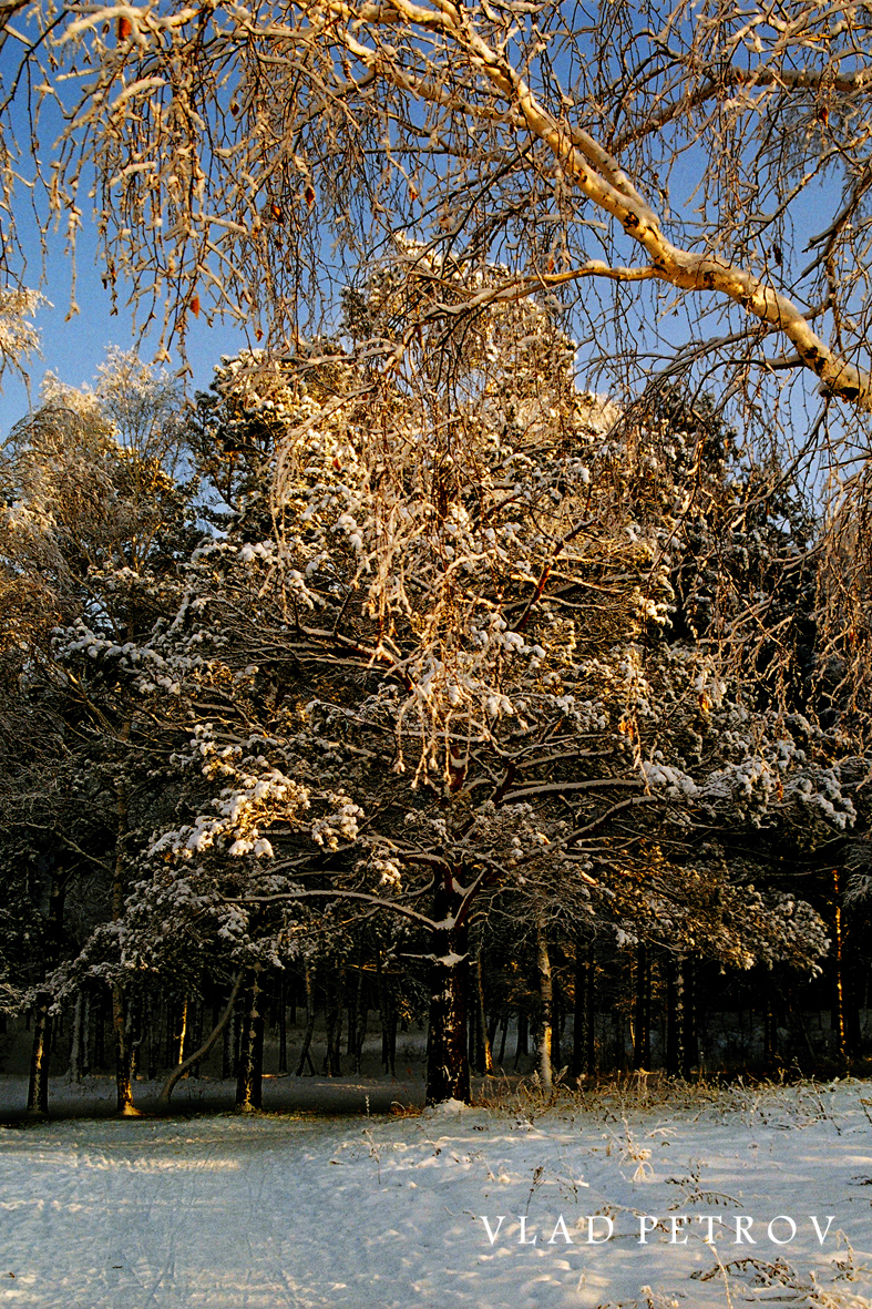 ��� � ������ ��������� ����