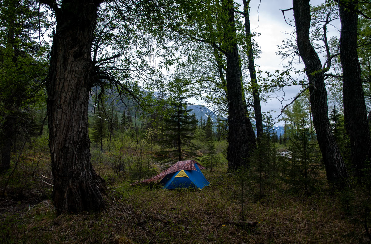 � ����� ������