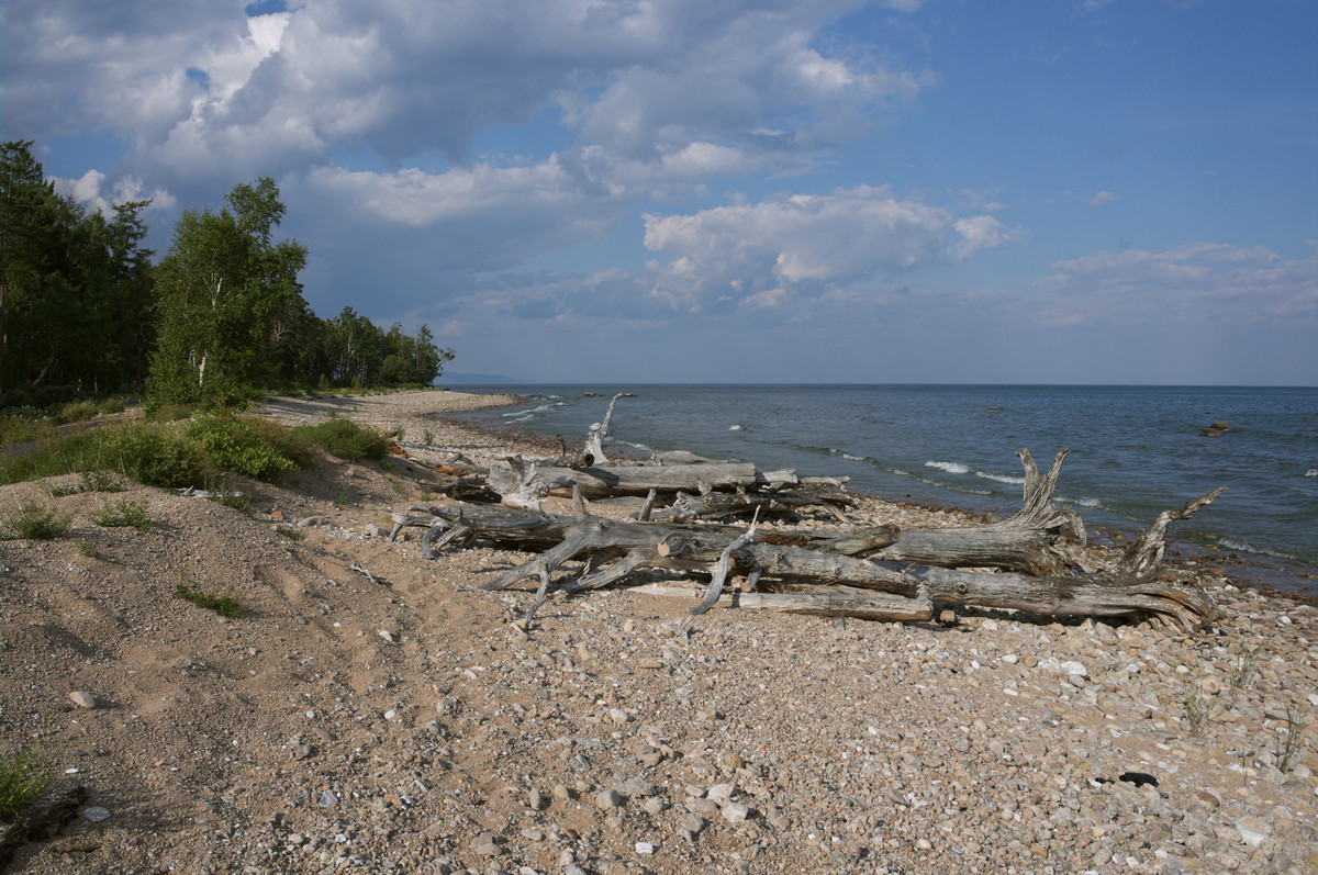 �� ������� ���