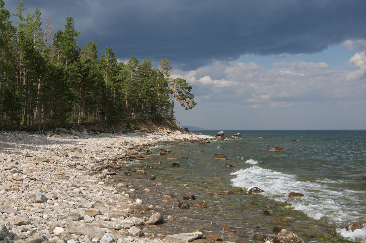 �������� ����