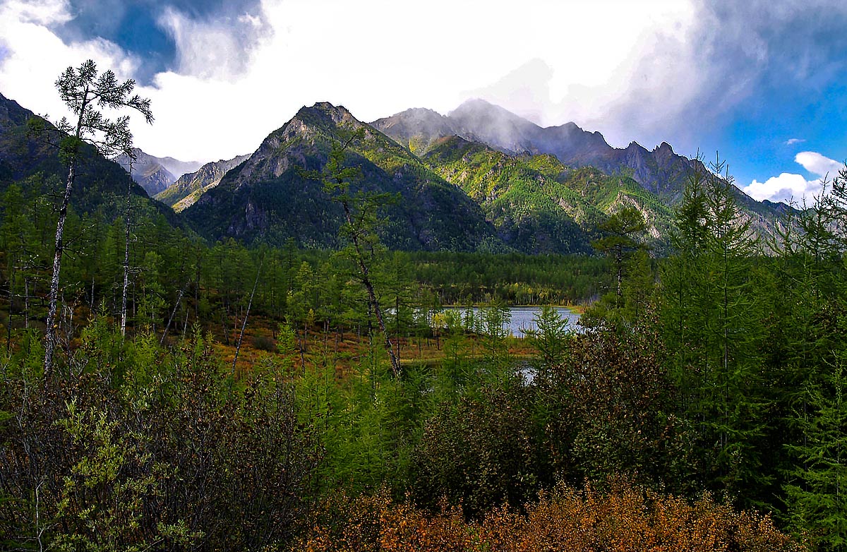 ���� ����������������� ������