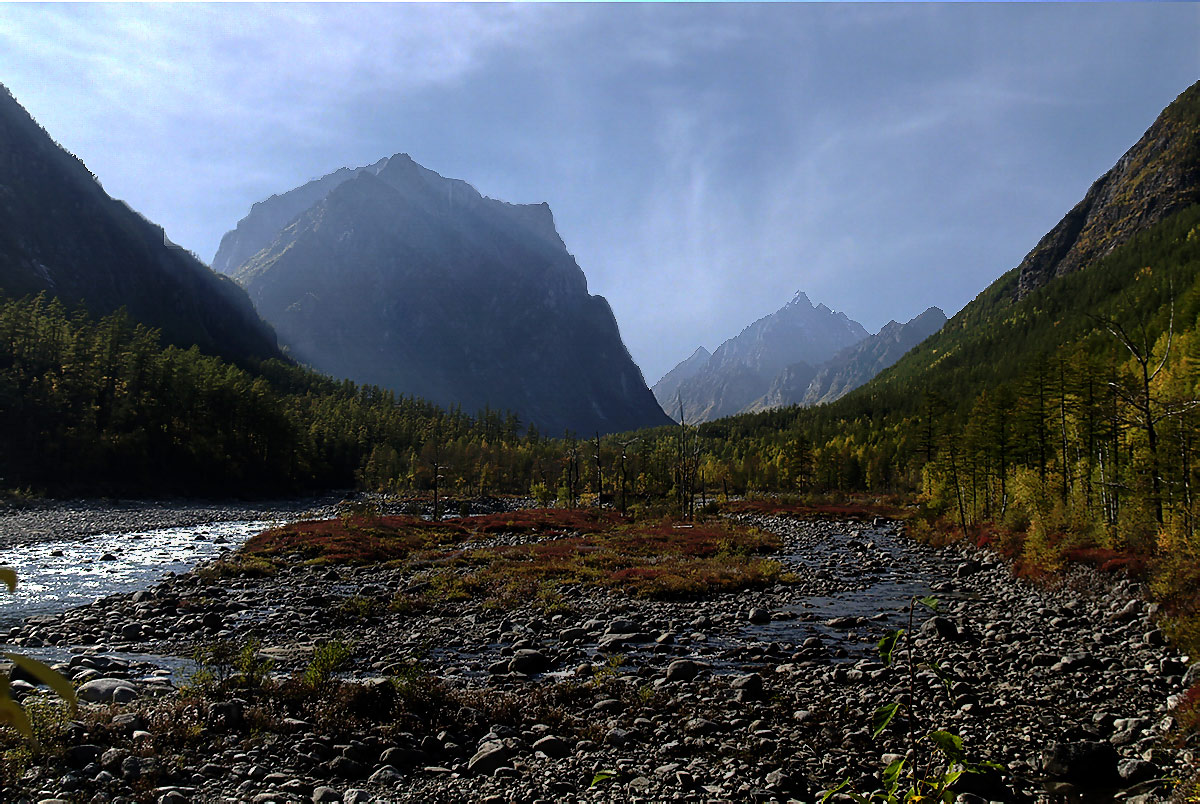 ������� 2393 � ��� �������� ����