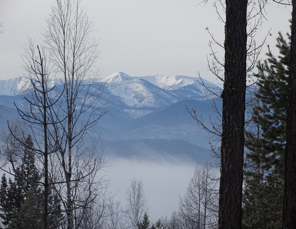 ������� � ������� �. ������� �������