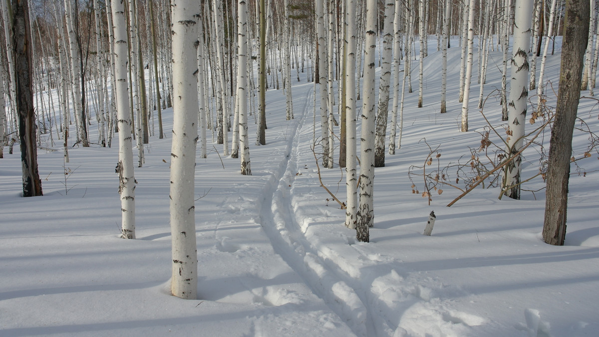 �� ����� 2