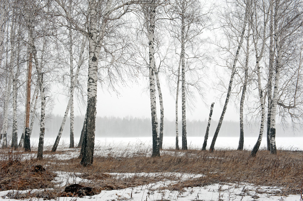 ������ �����