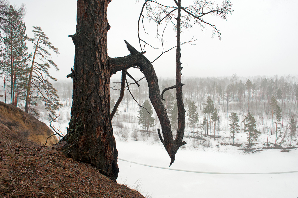 �� ������� ����