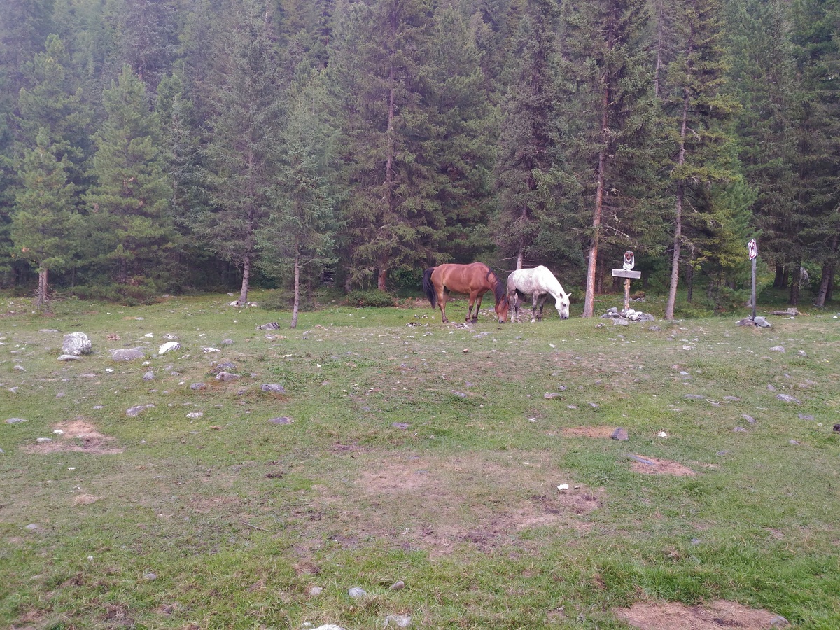 ��� ������� �� ������