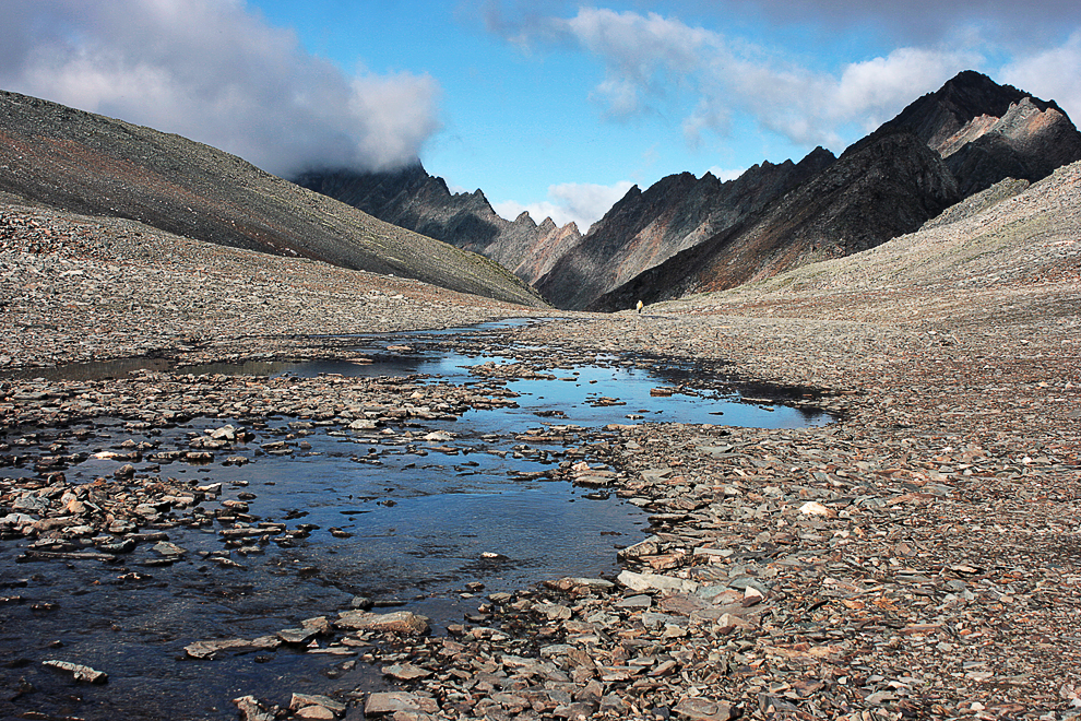 ����� ����