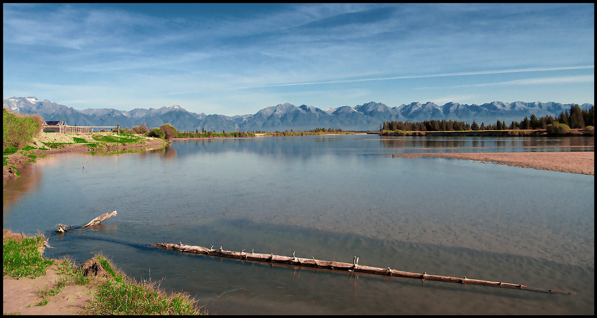 ������ ���� ������