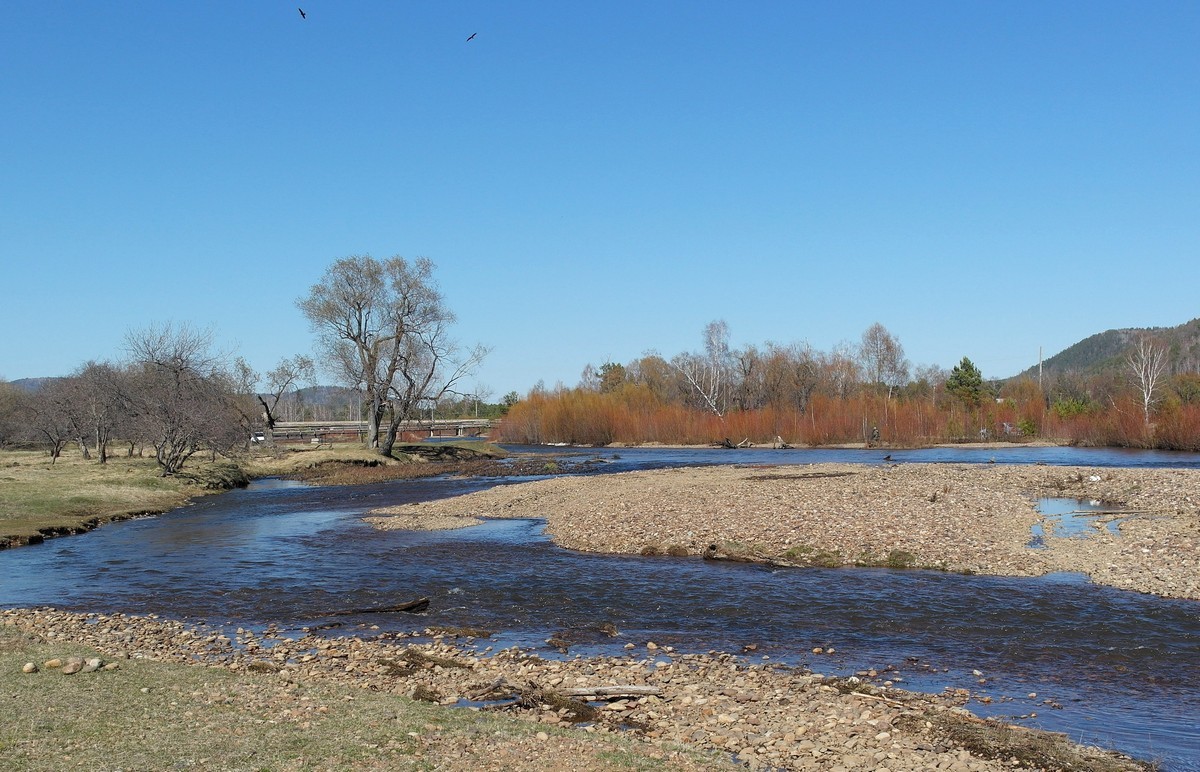 ����� ����� ����