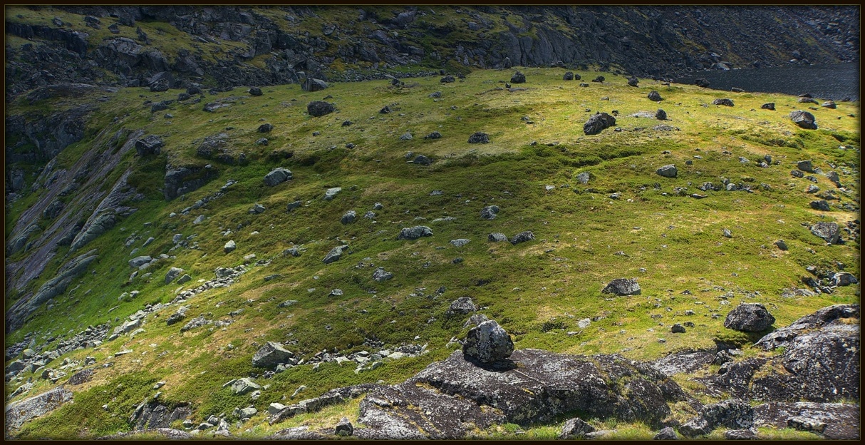 ����� �������� �����