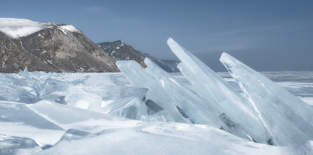 �������������