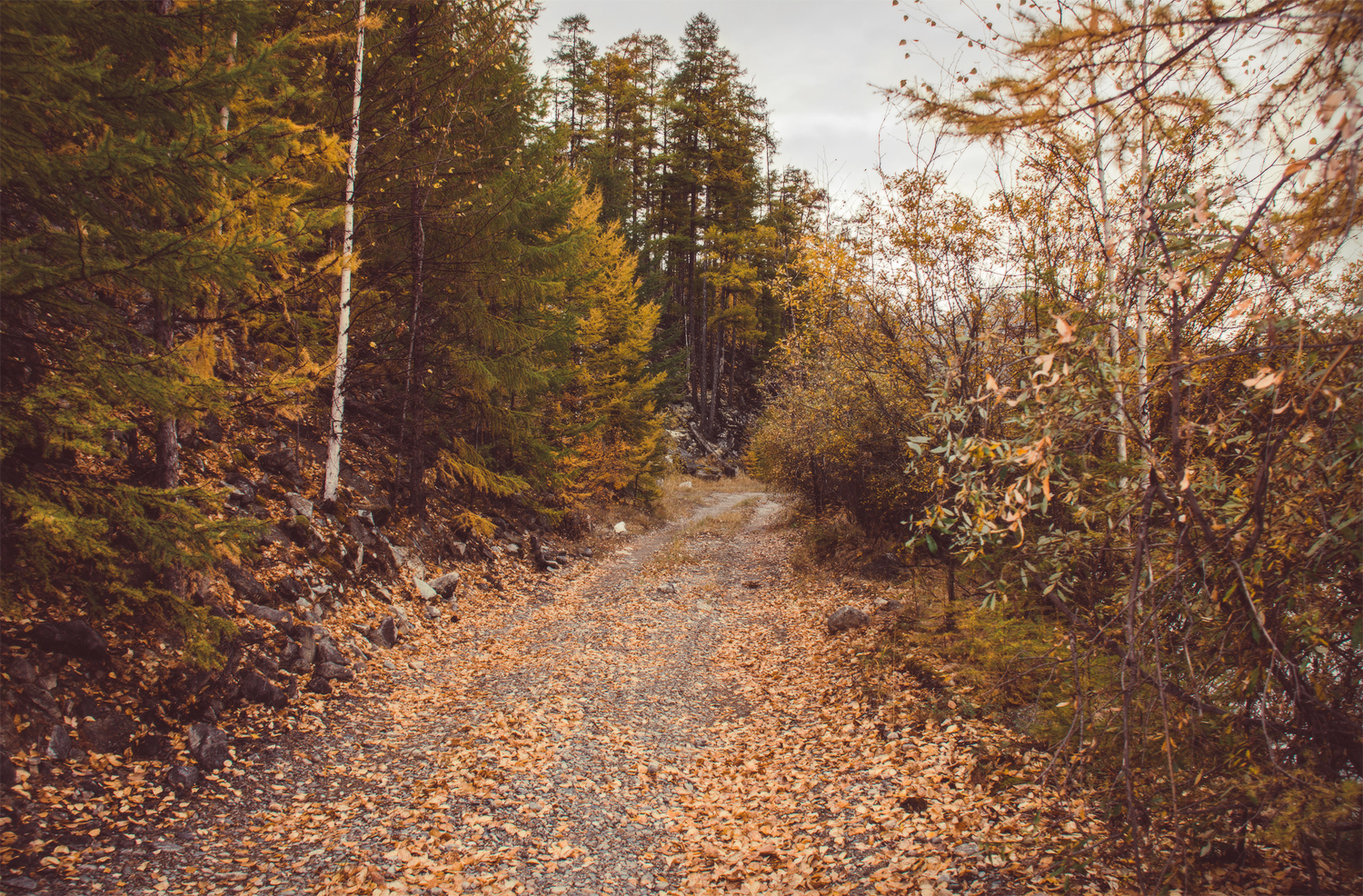 ������ � ����