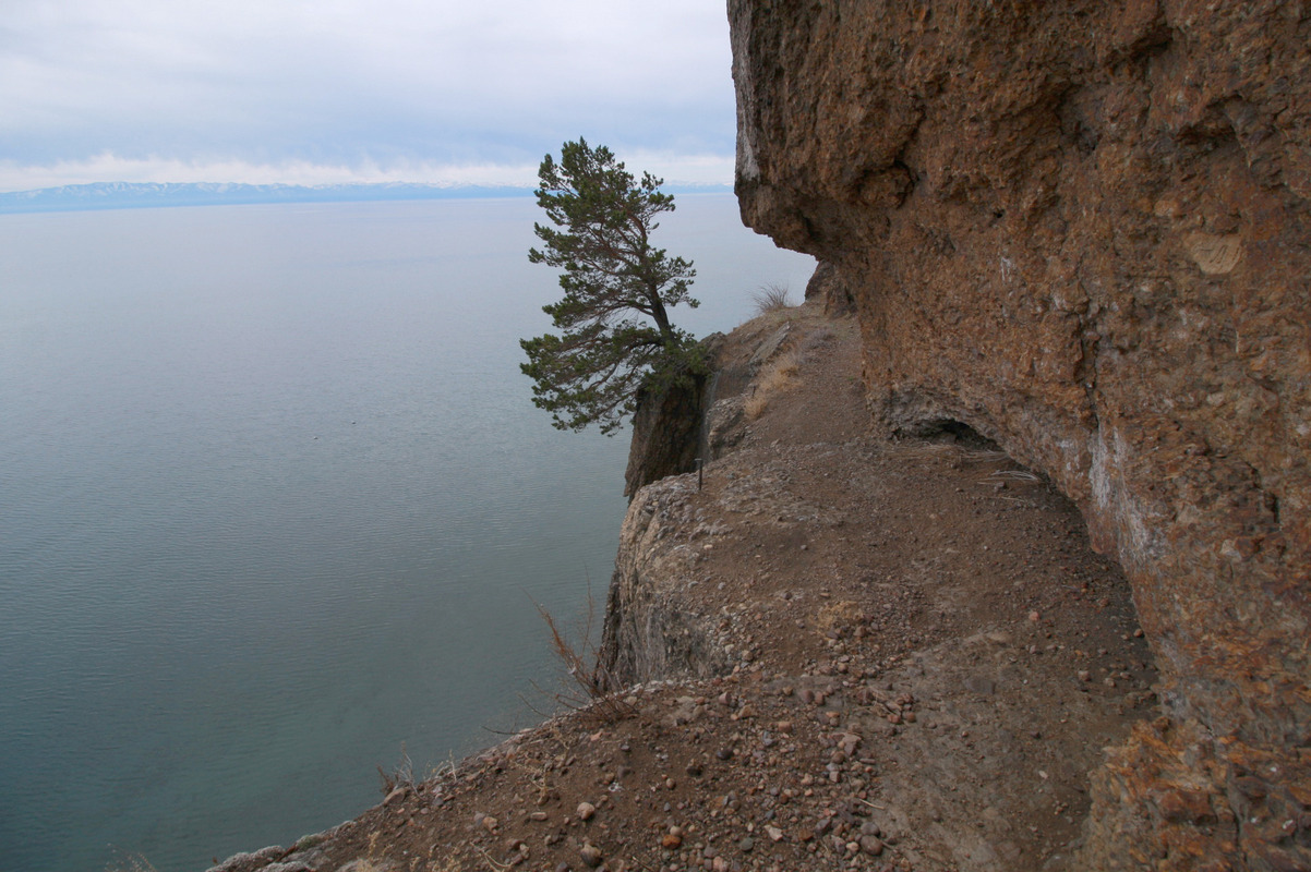 ׸���� ����