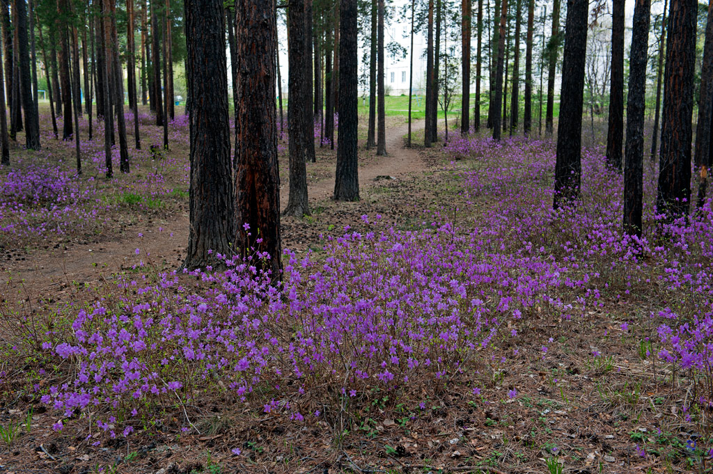 �������� � ����