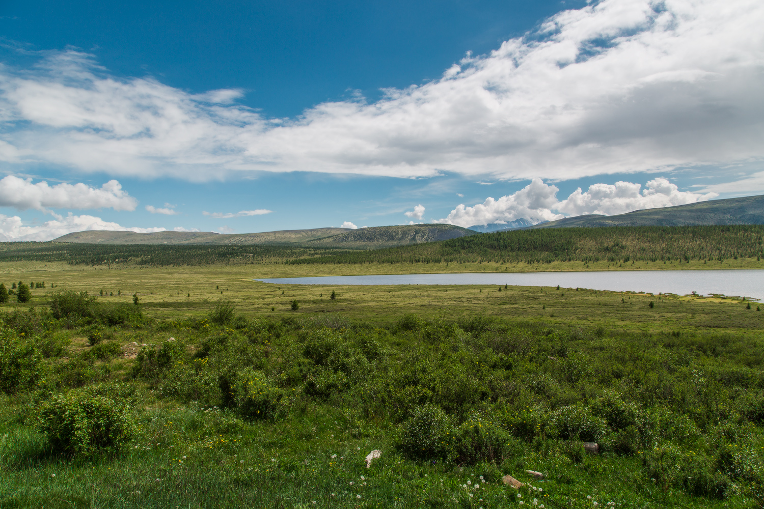 ����� ��������