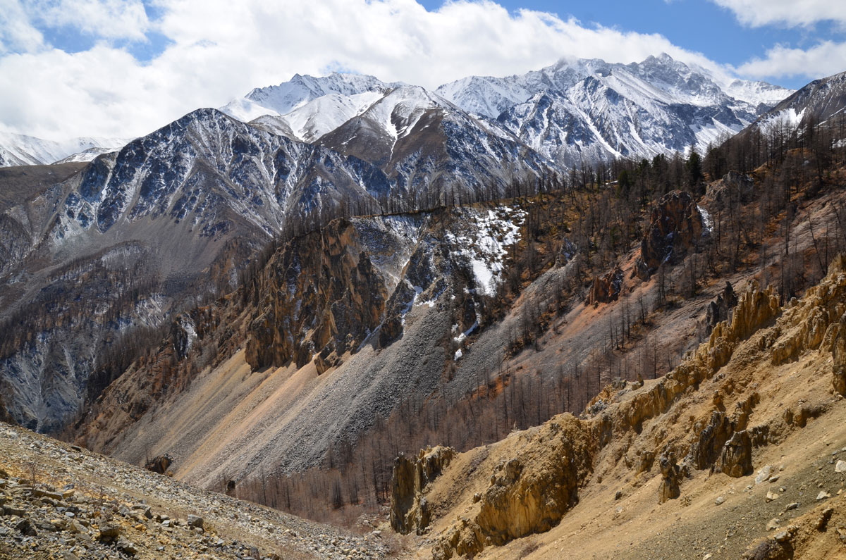 ������� ��������