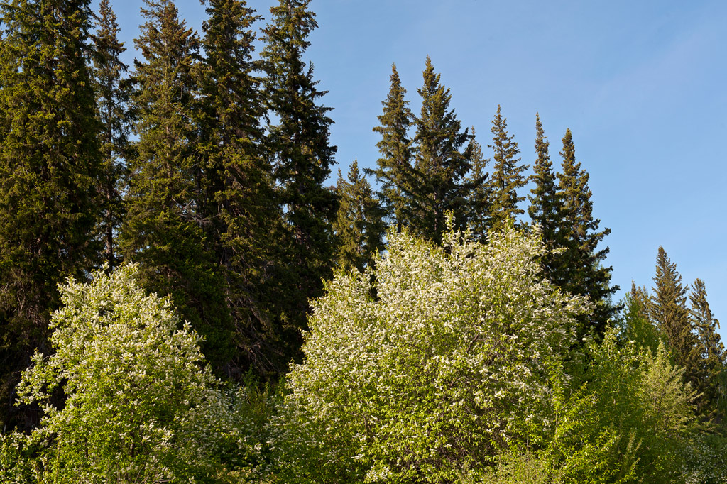 �� ���� ������ ����