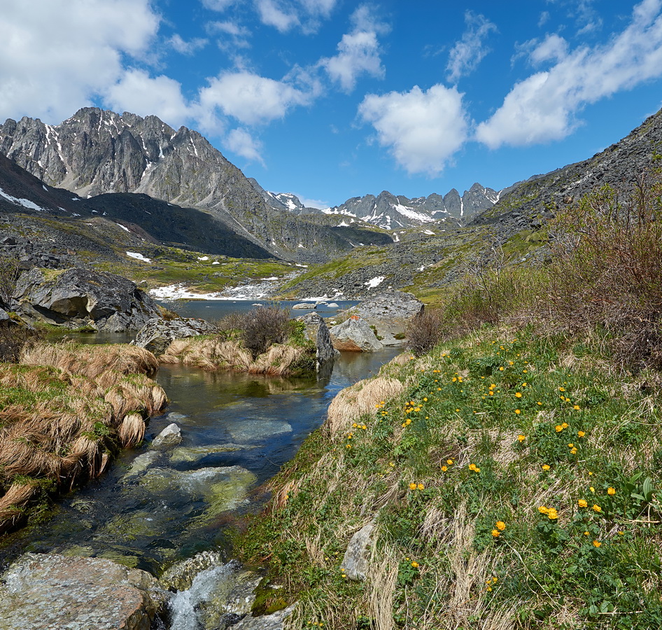 ������ ����� �� ���-��������