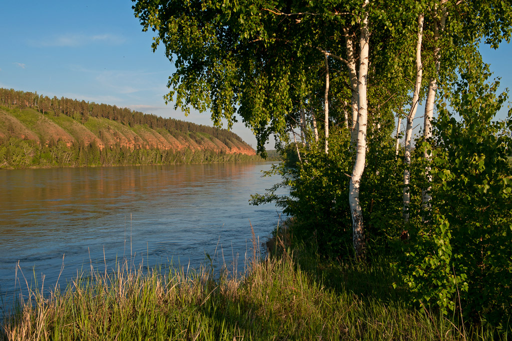 ��� ��������