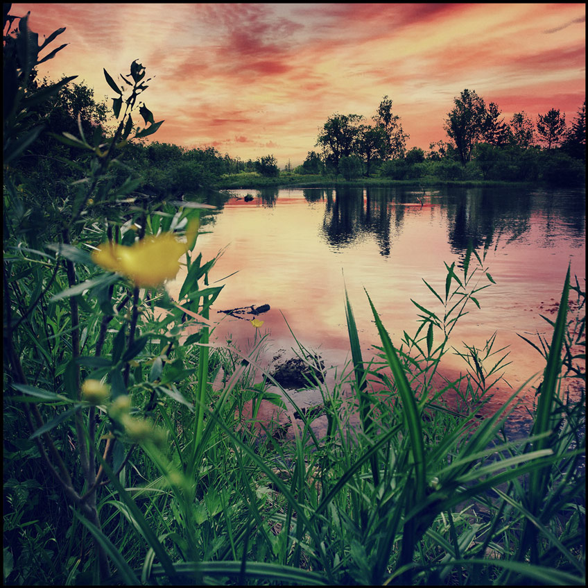 ���-�� �� ����