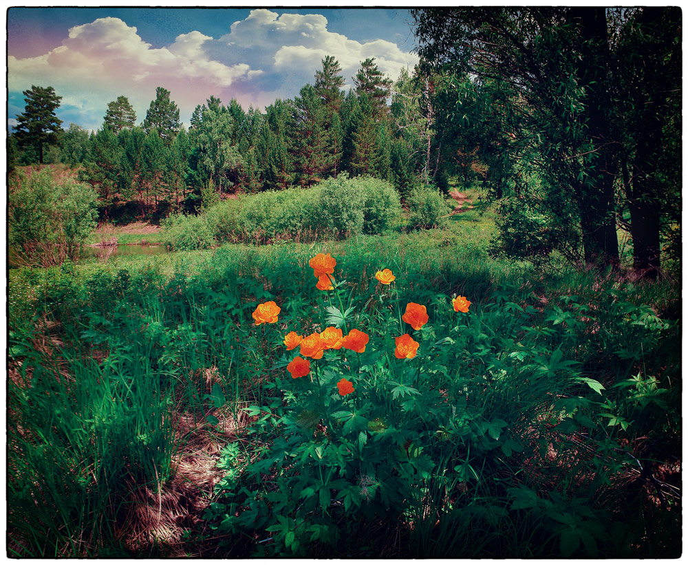 � �����, ����� � ������� ��.