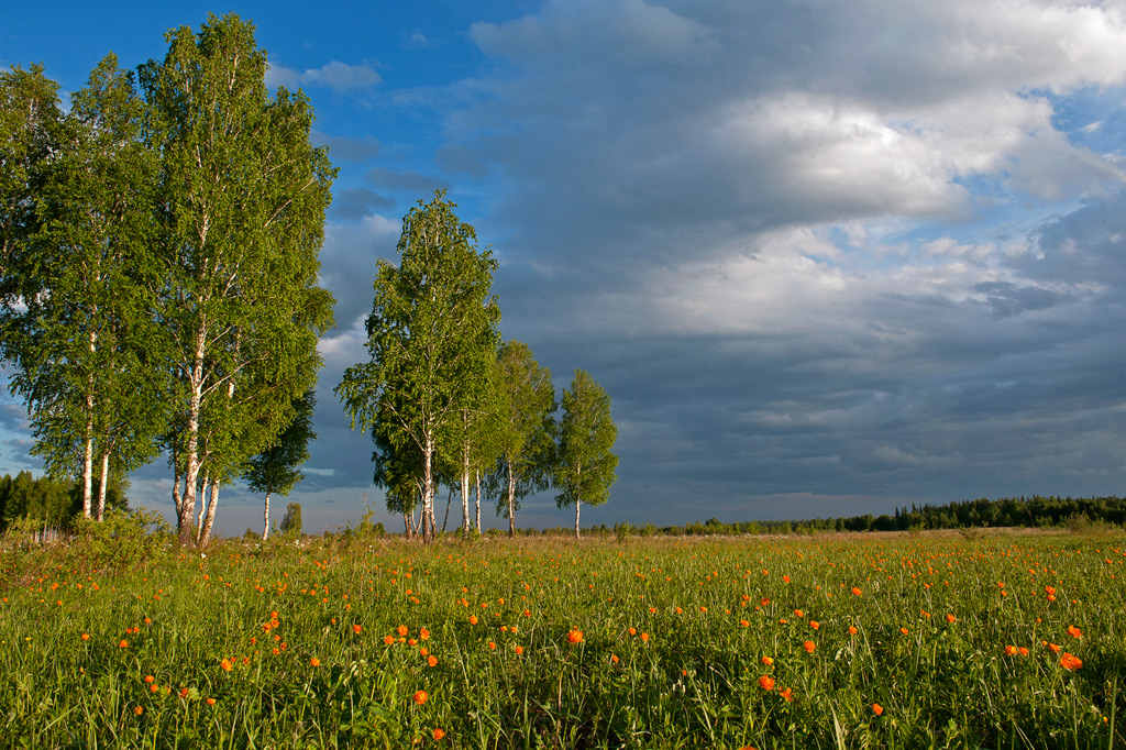 ������ ��������