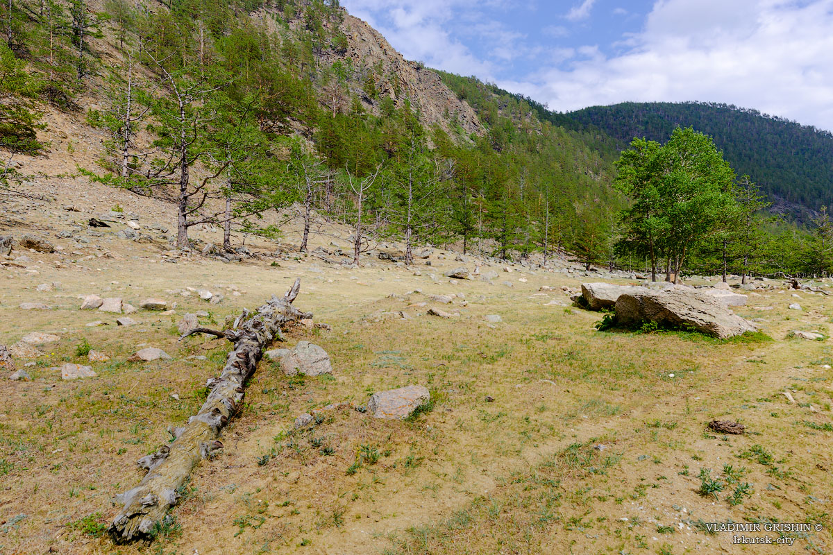 ��� ������