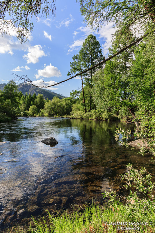 ������ �����������_����2