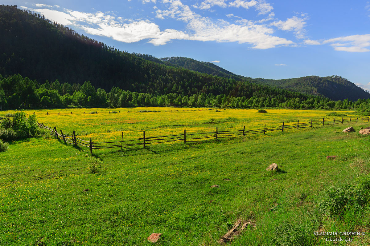 Ƹ���� ������