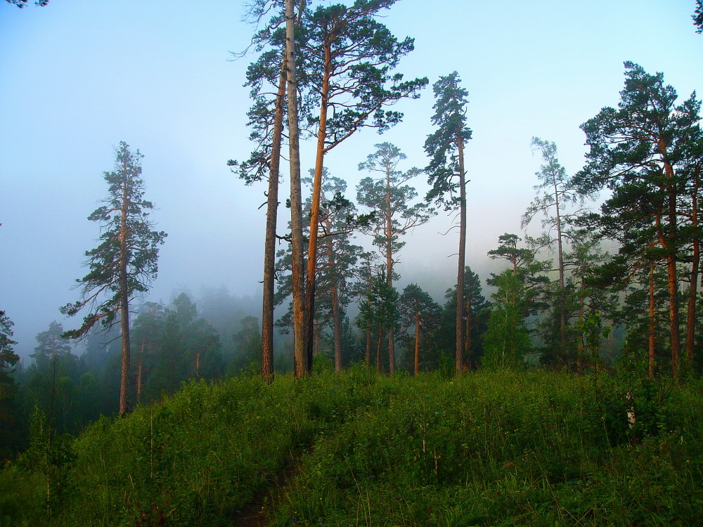 � "����������" �����