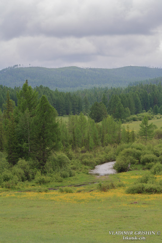 ���-�� � ����