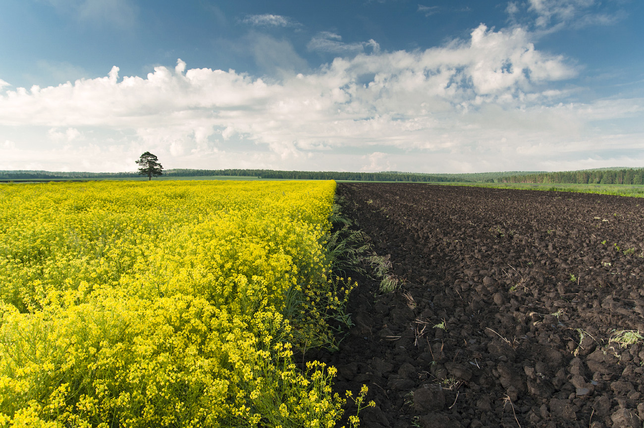 ��� ����!?