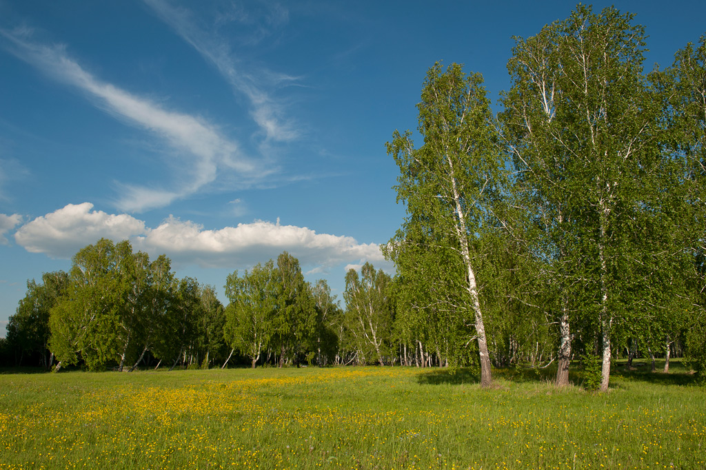 ������������� ����