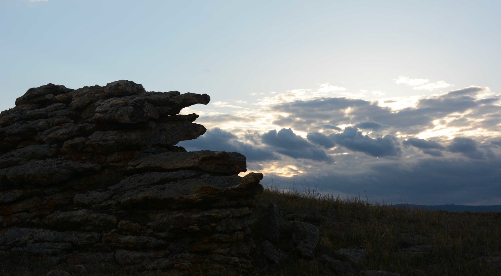 ���� �������