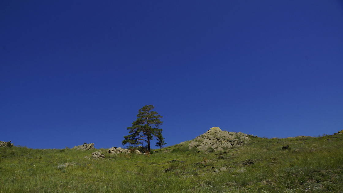 � ����������� �