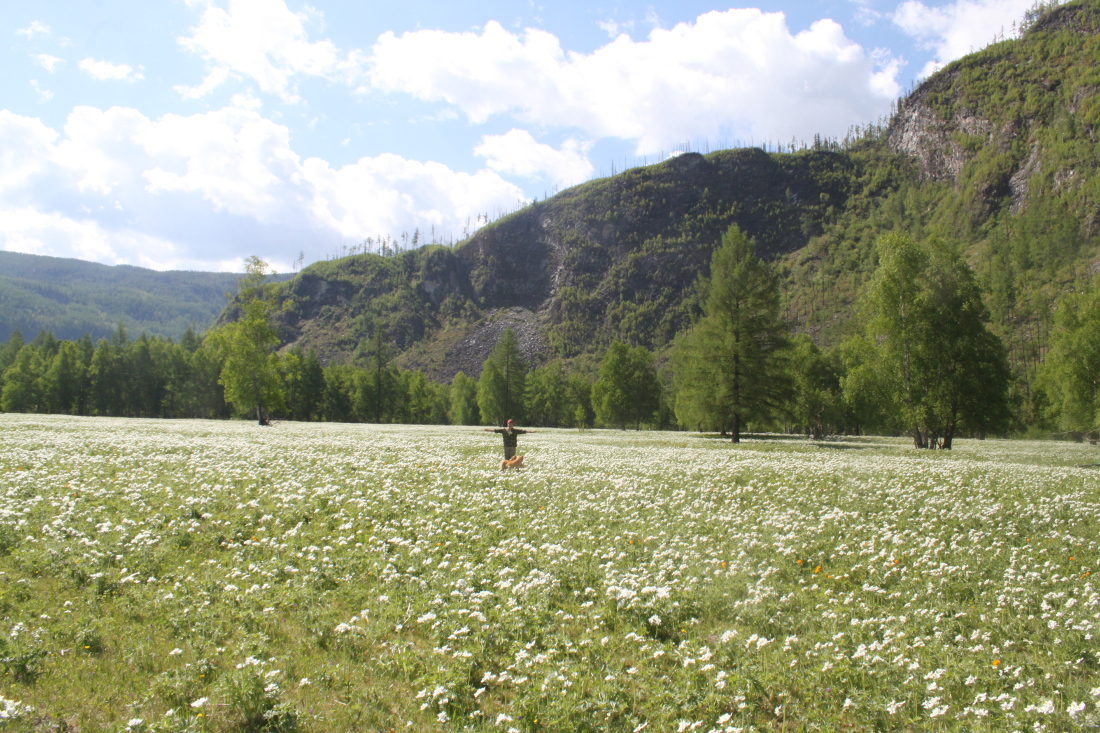 �����.(����� ����-������)