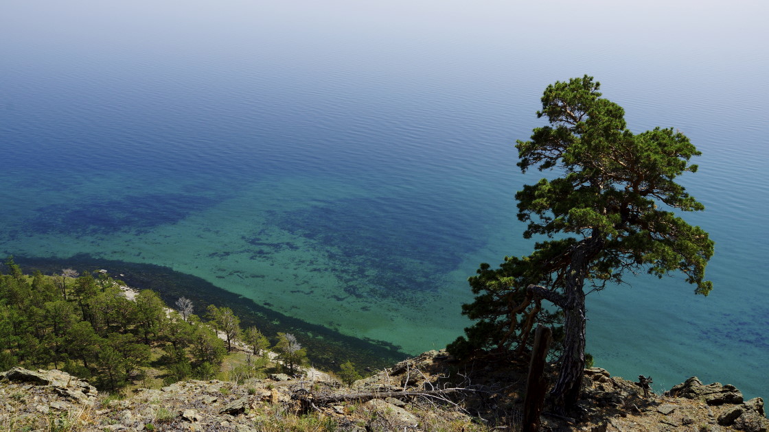 � ������ �� ���������� �