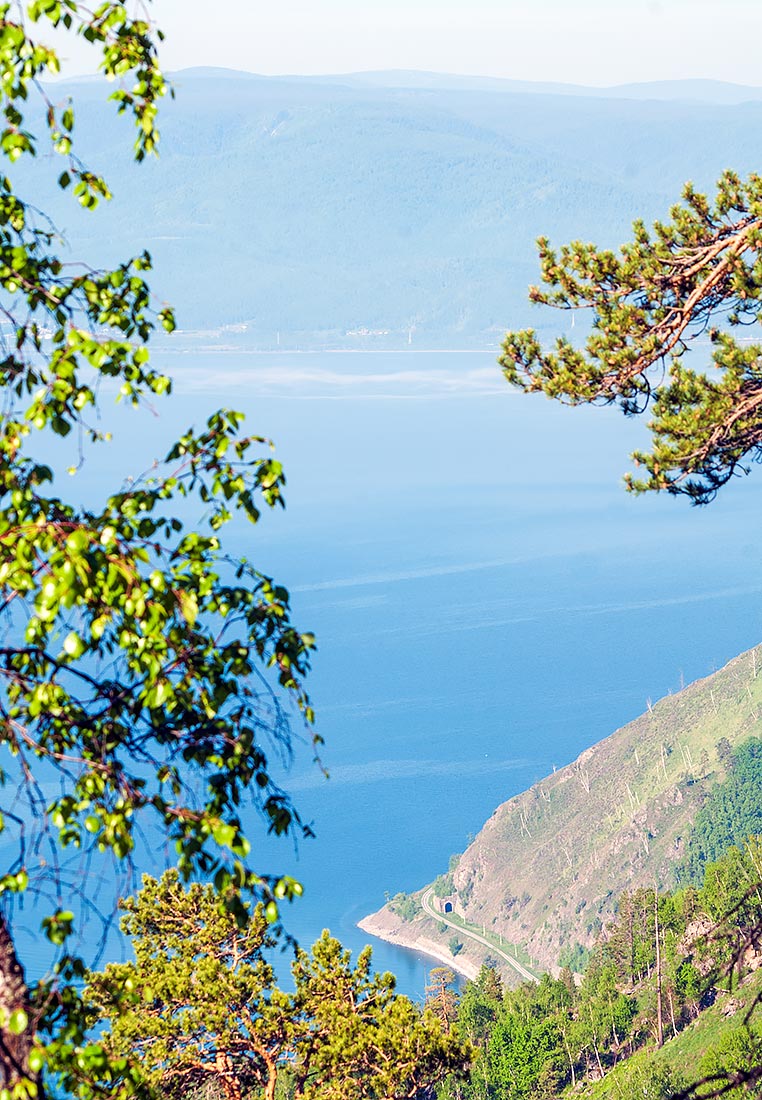 ������ ����