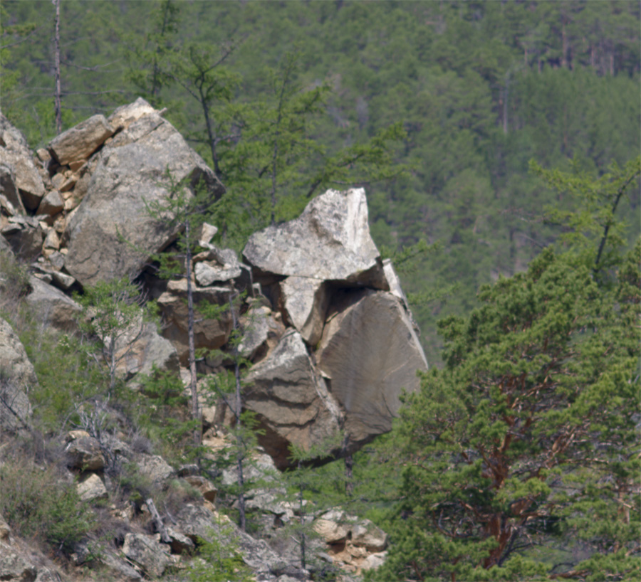 �� ���� ������ ���-���� �� ��������� )