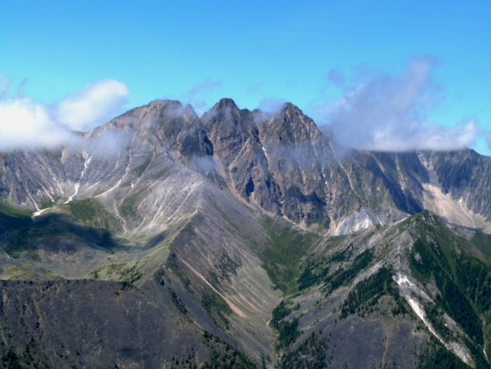 ��������� �������