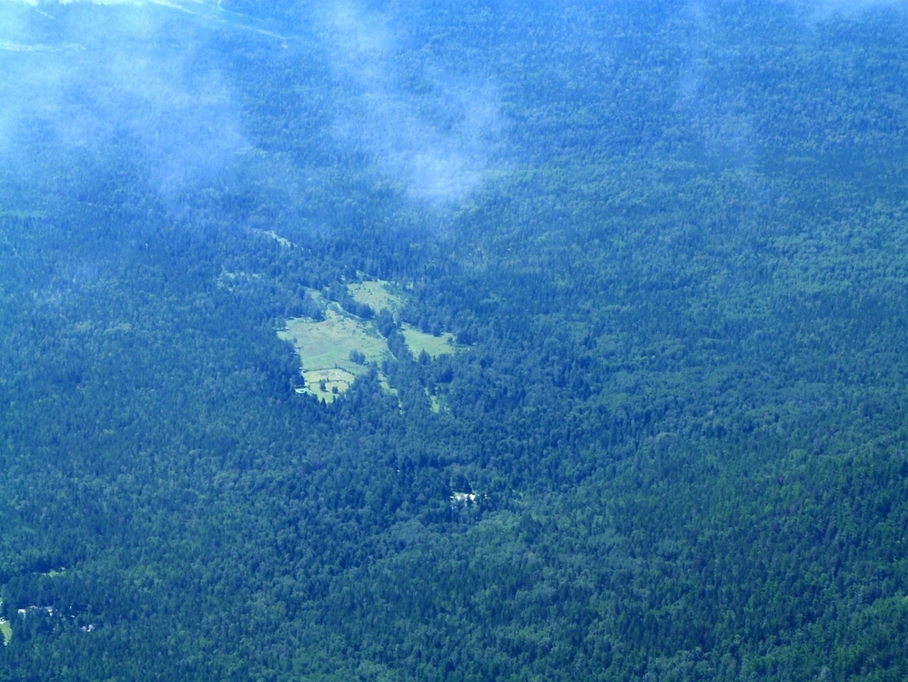 ����� �����