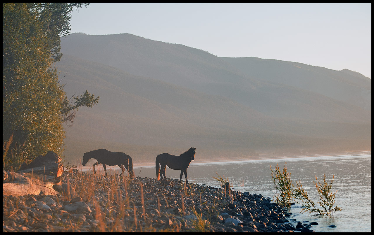 � �������������� �����