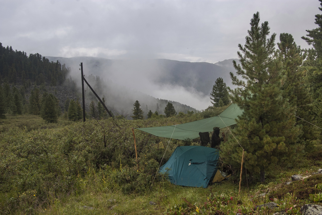 ������� ��� ��������� �����������