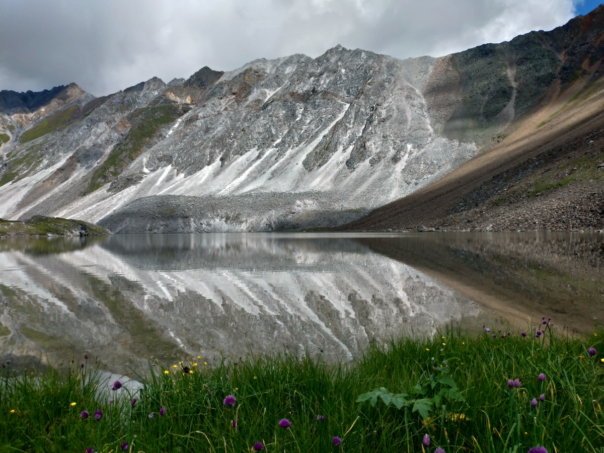 ��� ��������� ��������